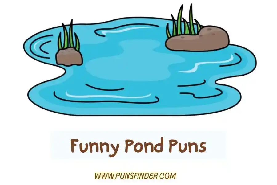 Funny Pond Puns