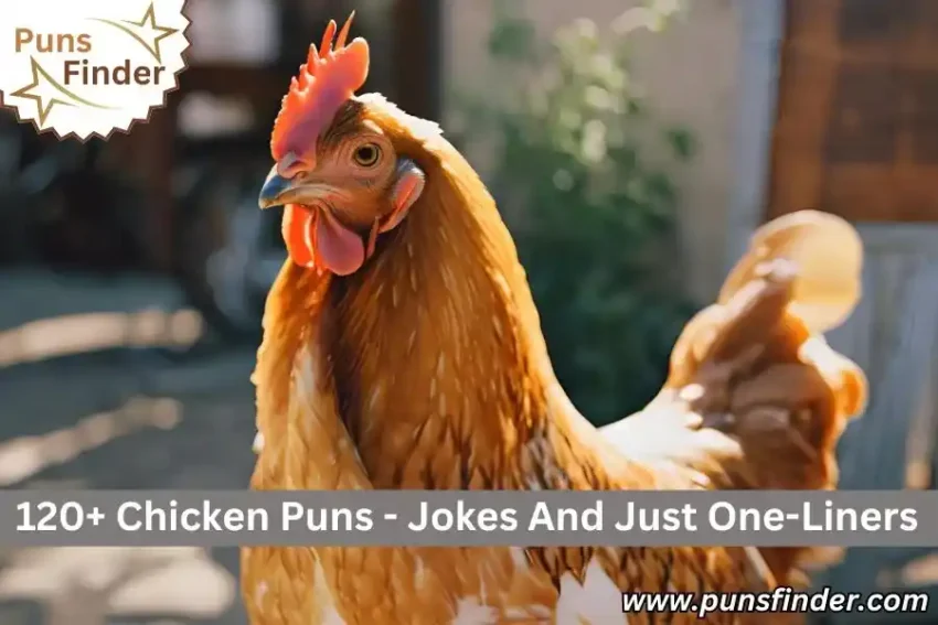 chicken Puns