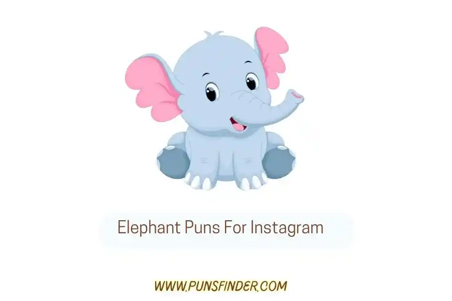 Elephant Puns For Instagram