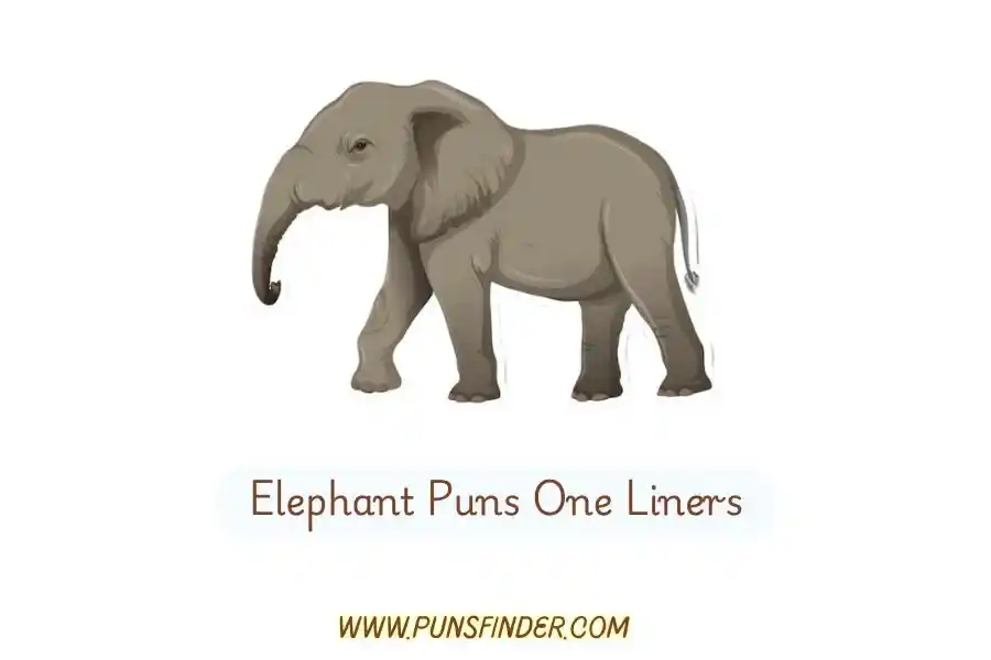 Elephant Puns One Liners