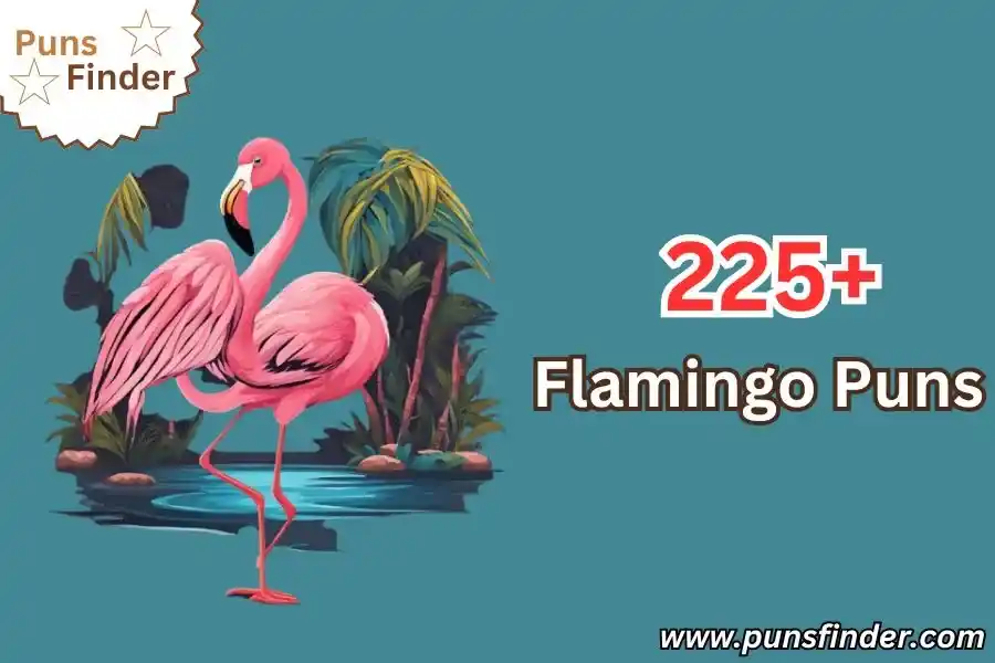 Flamingo Puns