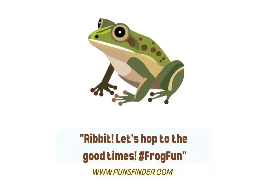 Frog Puns For Instagram