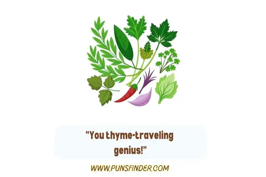 Funny Herb Puns