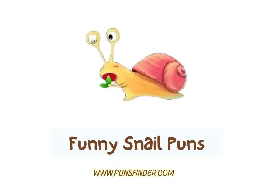 Funny Snail Puns