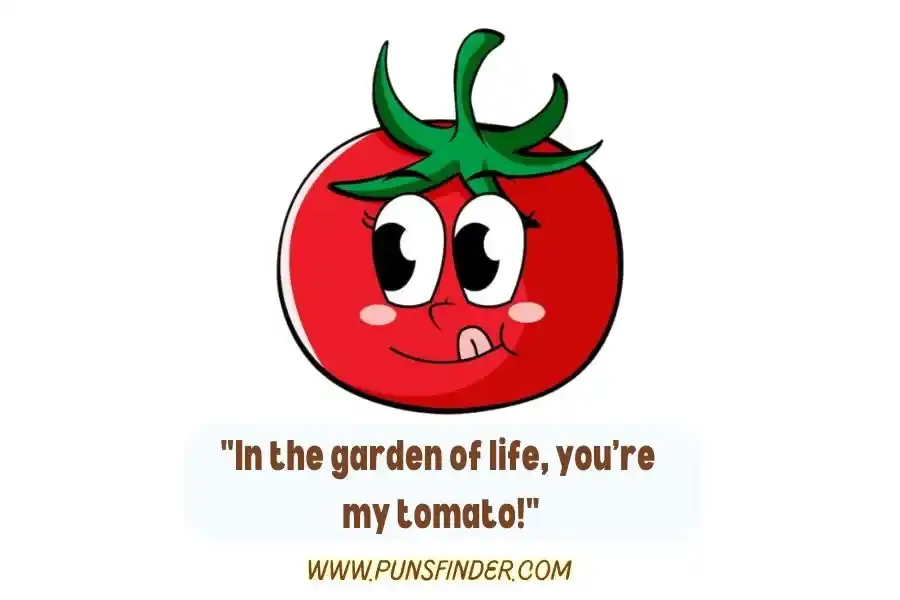 Funny Tomato Puns