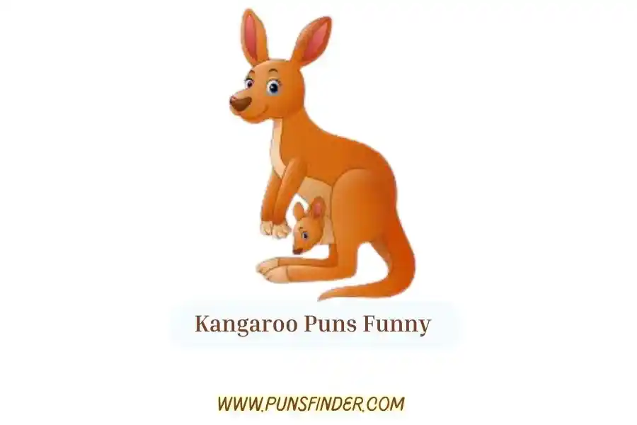 Kangaroo Puns Funny