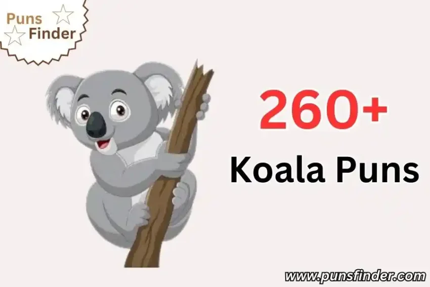 Koala Puns