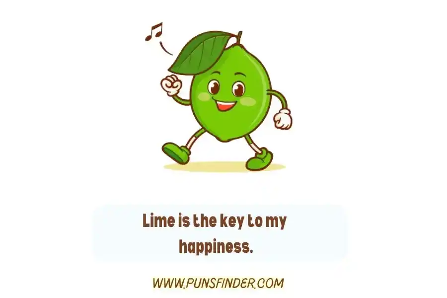 Lime Puns One Liners