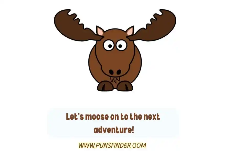 Moose Puns One Liners