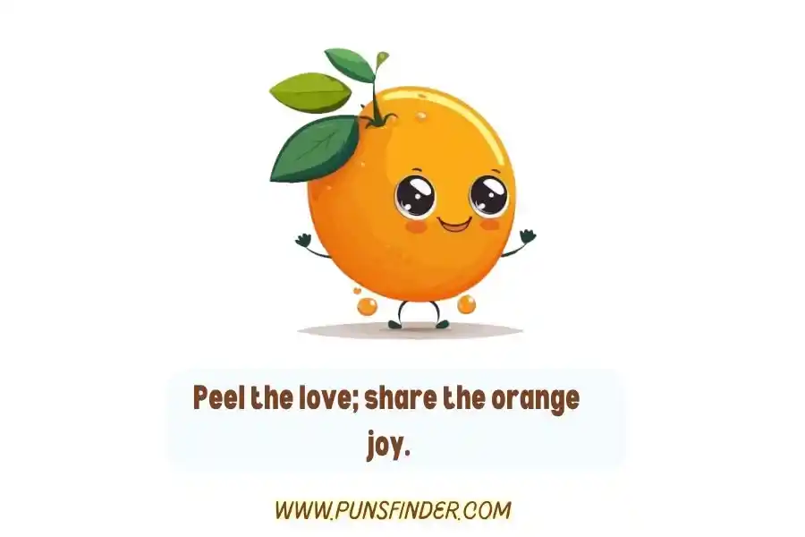 Orange Puns Cute