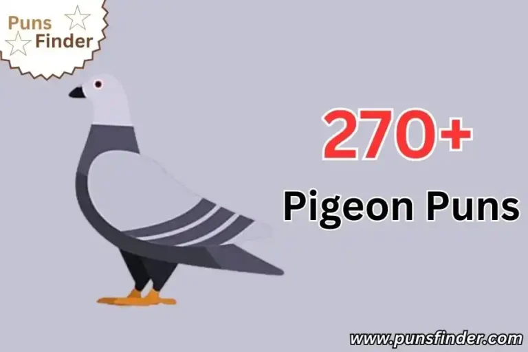 Pigeon Puns