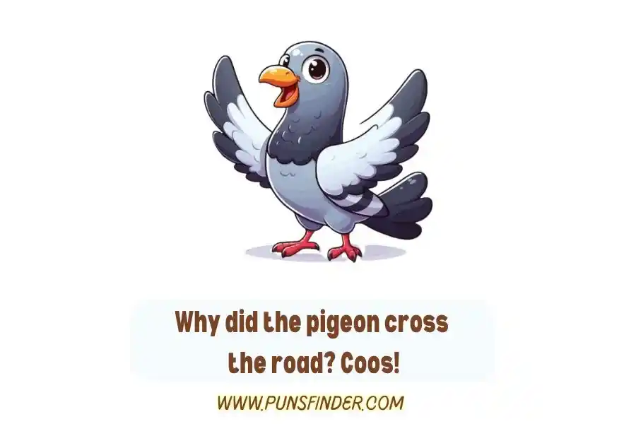 Pigeon Puns One Liners