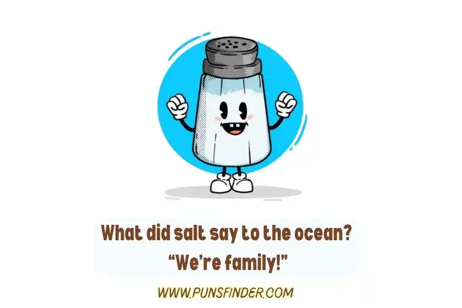 Salt Puns And Jokes