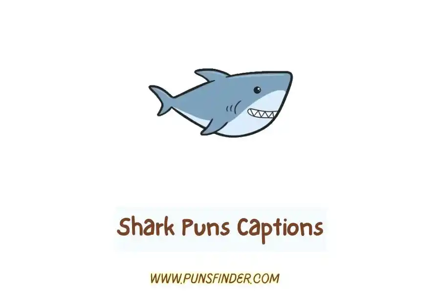 Shark Puns Captions