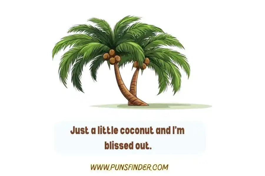 Short Coconut Puns