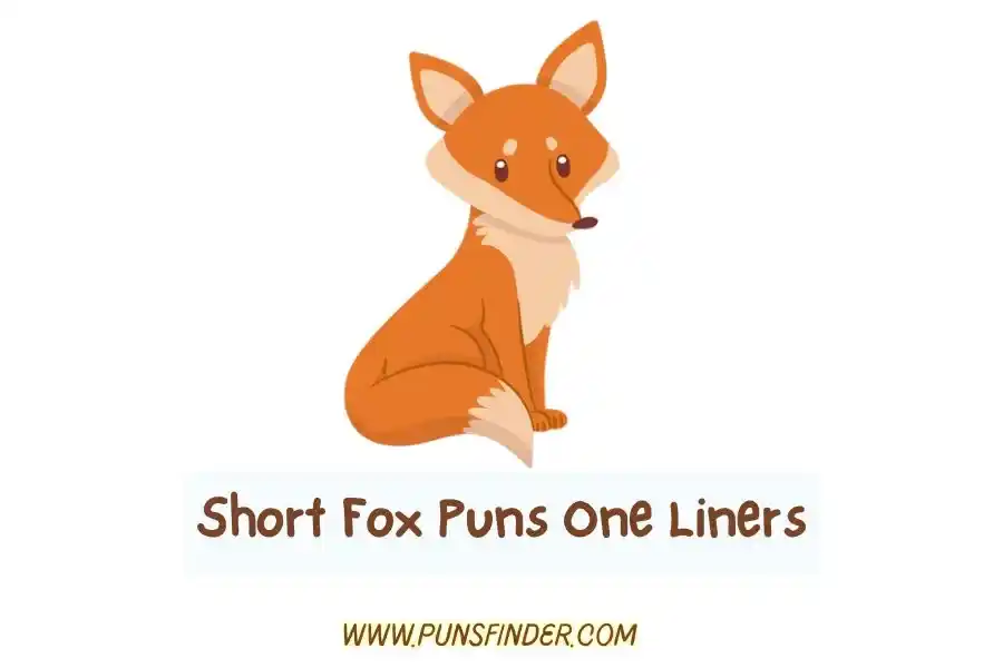 Short Fox Puns One Liners