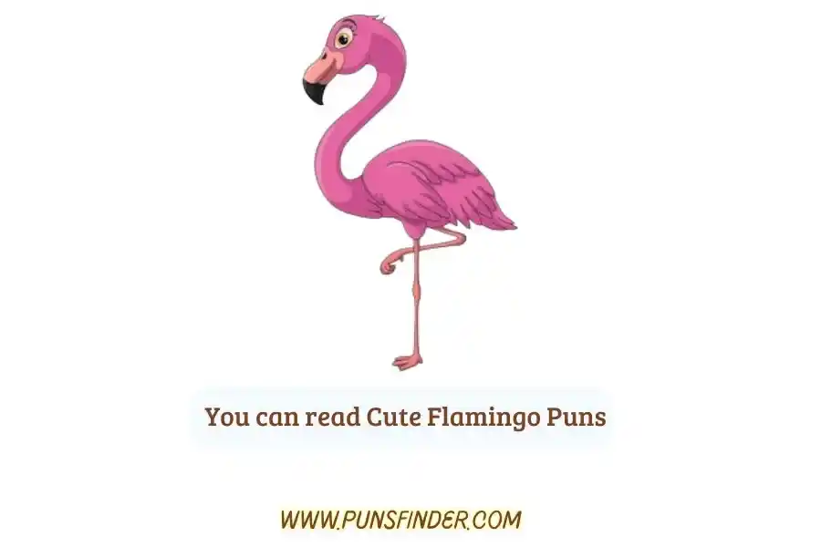 Cute Flamingo Puns