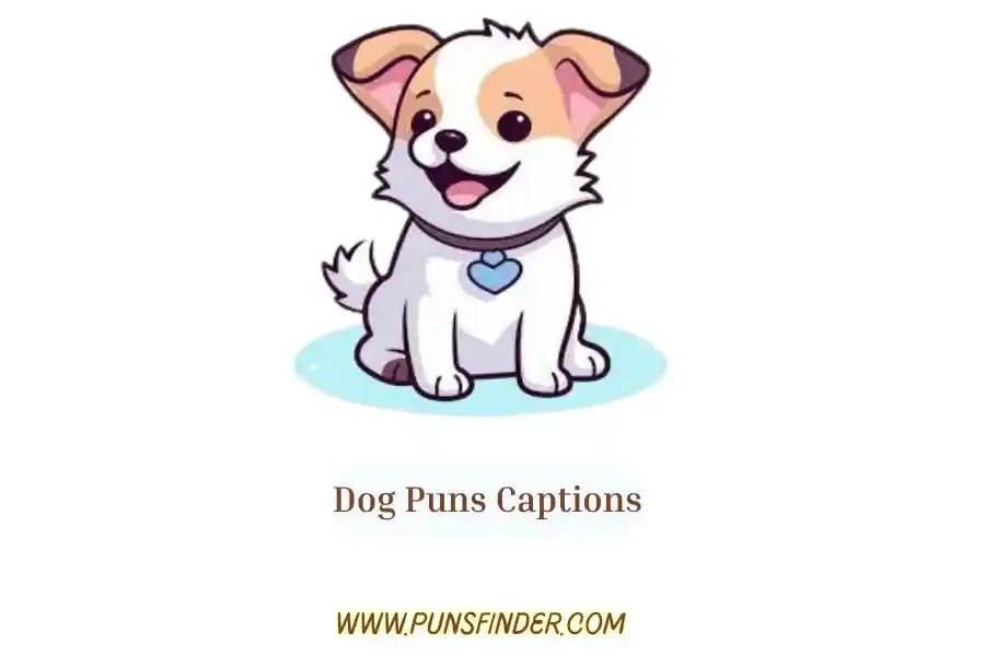 Dog Puns Captions