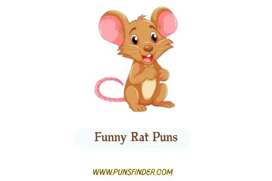 Funny Rat Puns