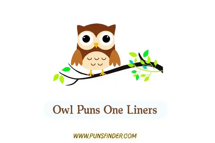 Owl Puns One Liners