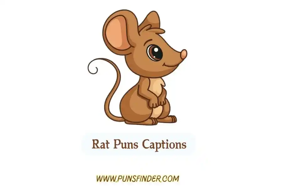 Rat Puns Captions