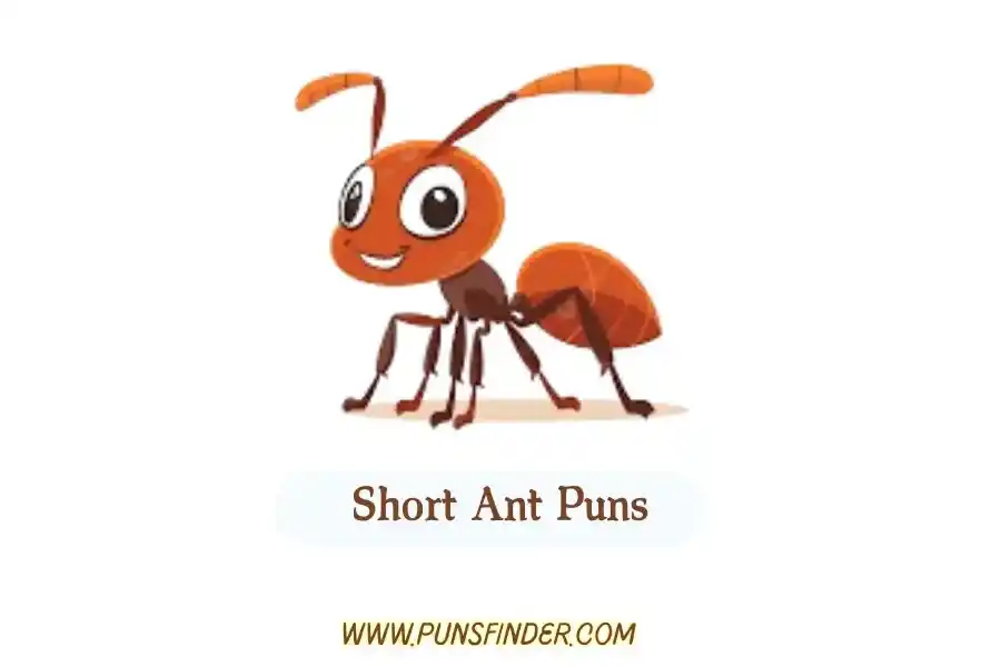 Short Ant Puns