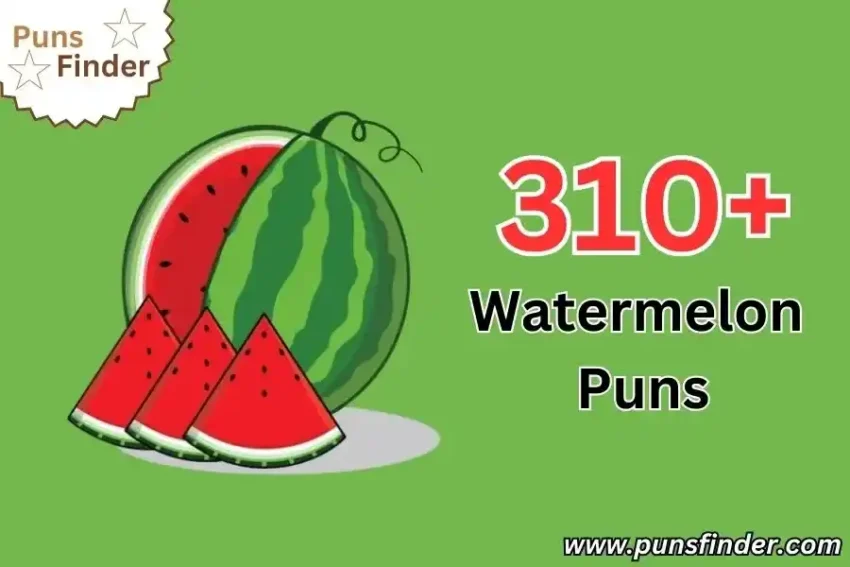 Watermelon Puns