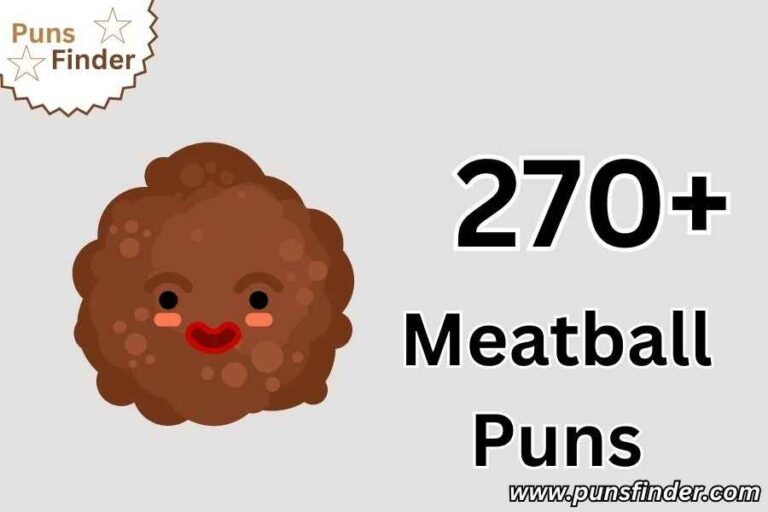 Meatball Puns