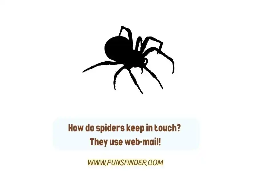 Spider Puns for Kids