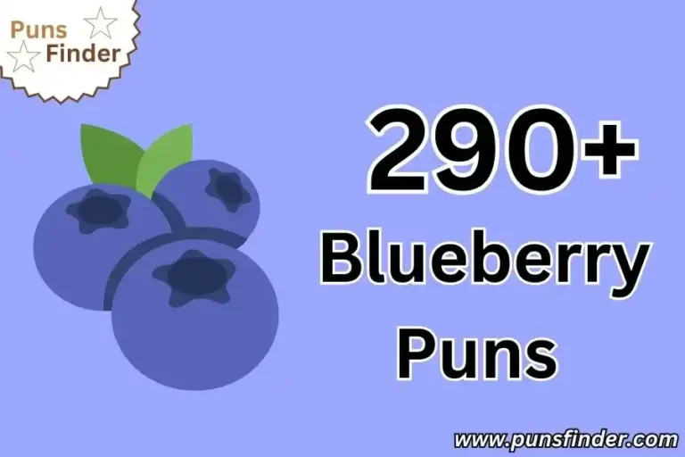 Blueberry Puns