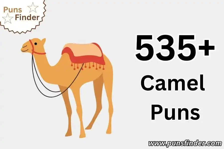 Camel Puns