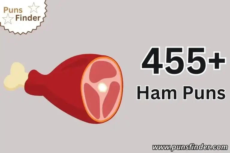 Ham Puns