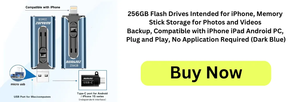 256GB Flash Drives